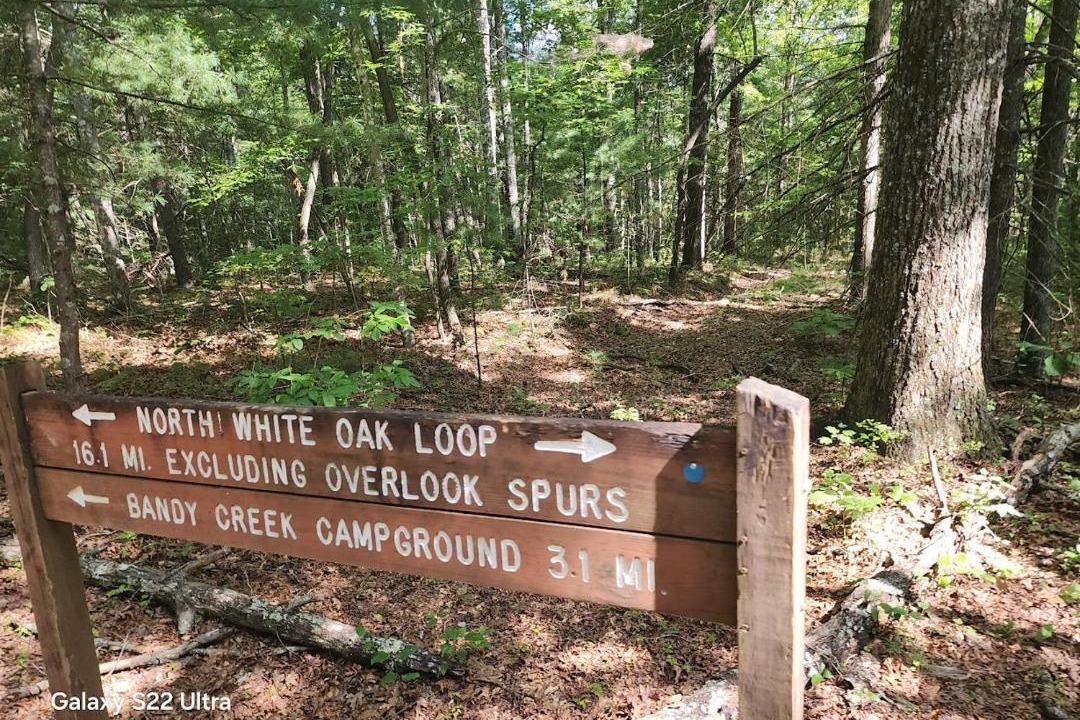 Photo of Others in Jamestown