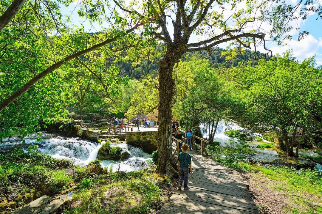 Photo of Others in Skradin