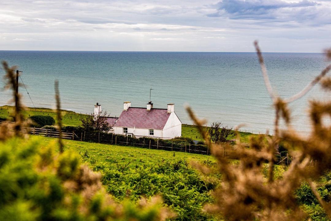 Photo of Others in Trefor