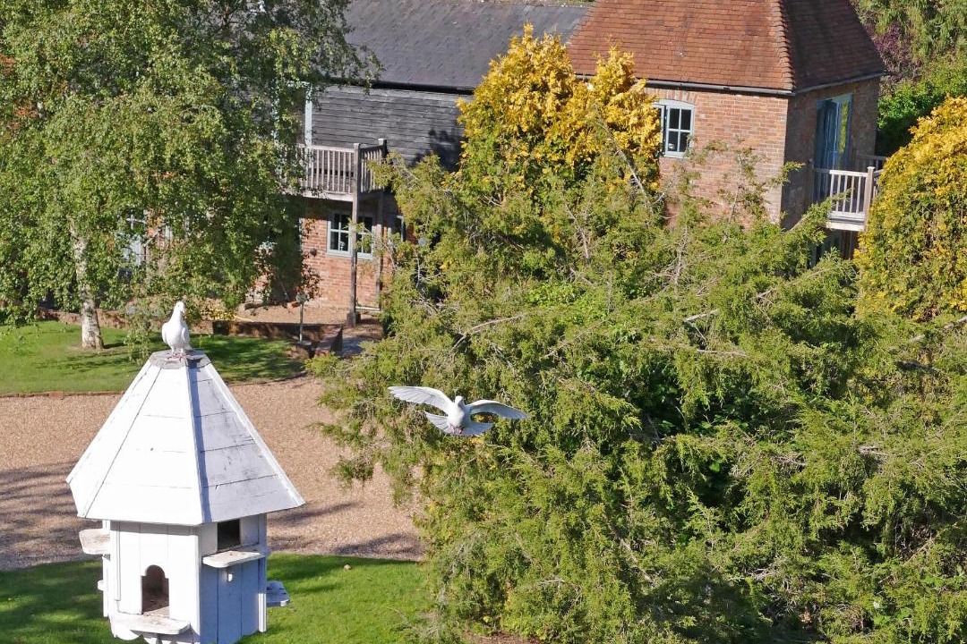 Photo of Buildings in Sedlescombe