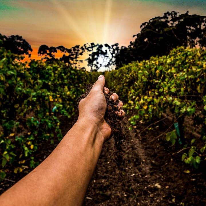 Photo of Others in Lyndoch