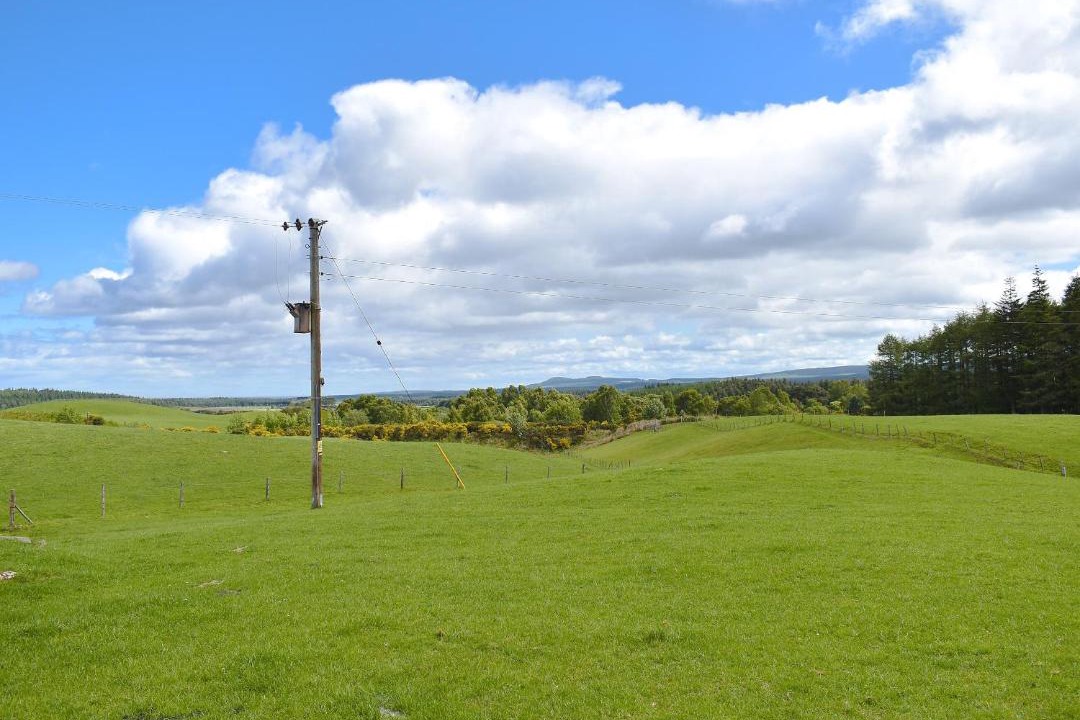 Photo of Others in Fochabers