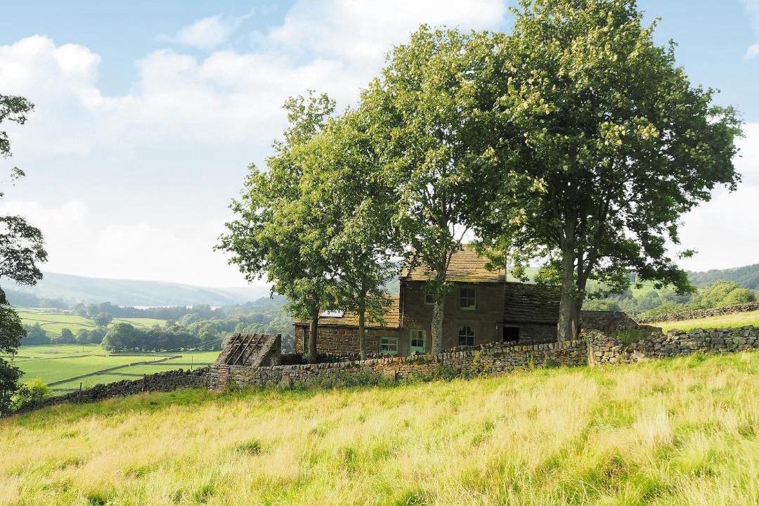 Photo of Others in Lofthouse