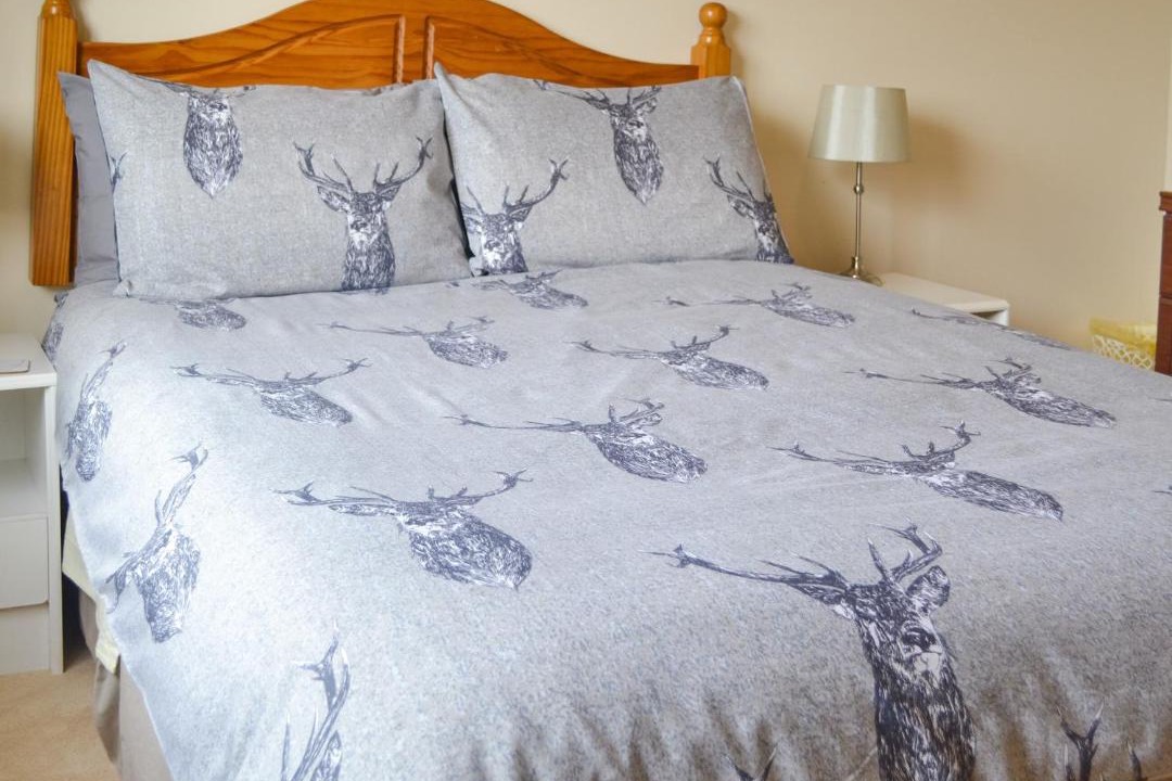 Photo of Others in Tain