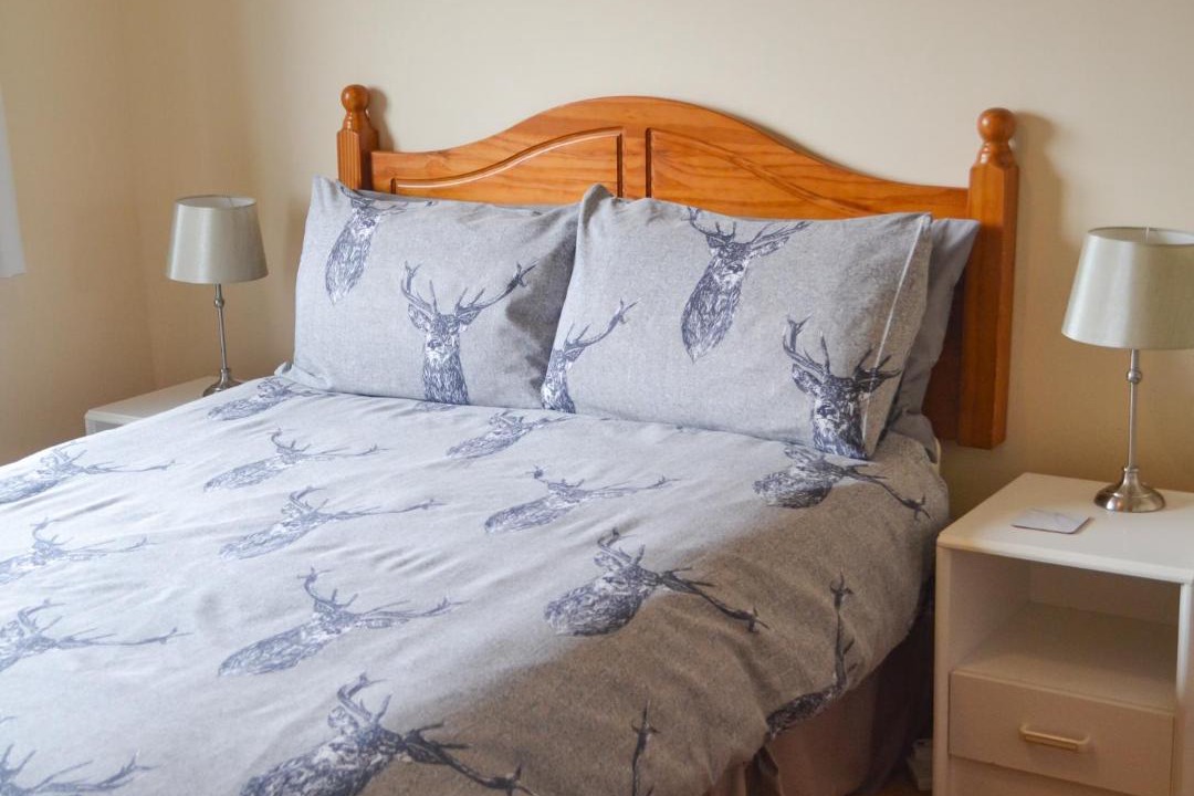 Photo of Others in Tain