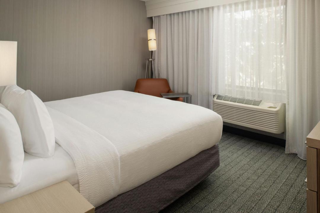 Photo of Others in Nut Tree