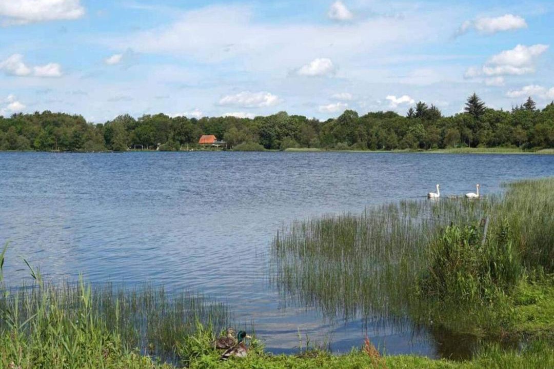 Photo of Others in Ansager