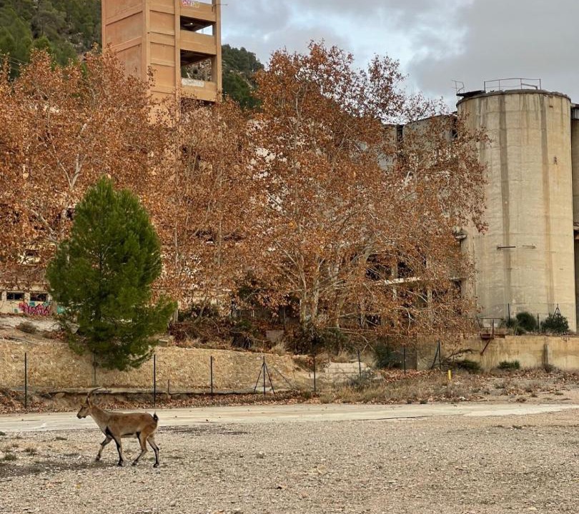 Photo of Buildings in Minglanilla