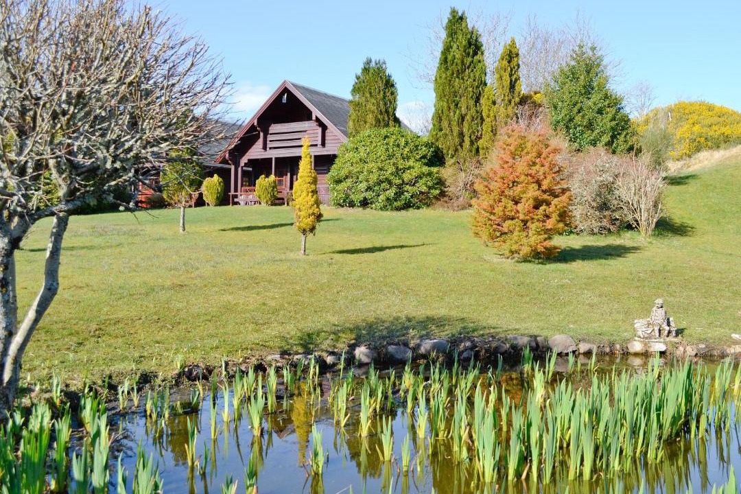 Photo of Others in Torcastle