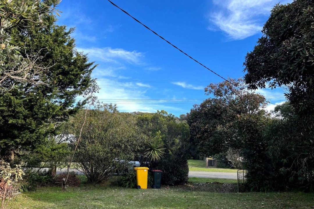 Photo of Others in Venus Bay