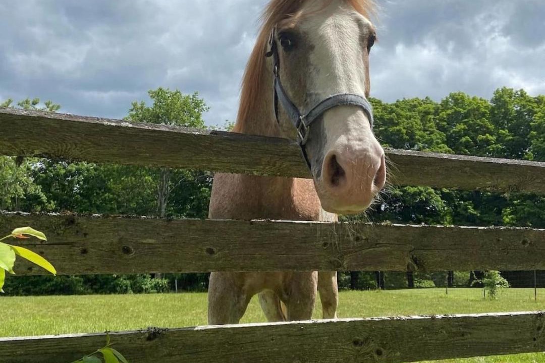 Photo of Others in Gilmanton