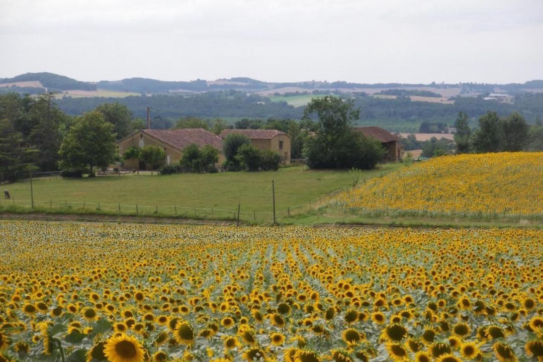 Photo of Others in Preignan