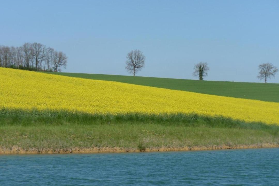 Photo of Others in Preignan