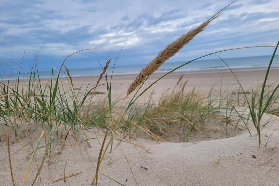 Photo of Others in Strandby