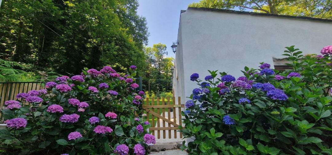 Photo of Others in Ortiporio