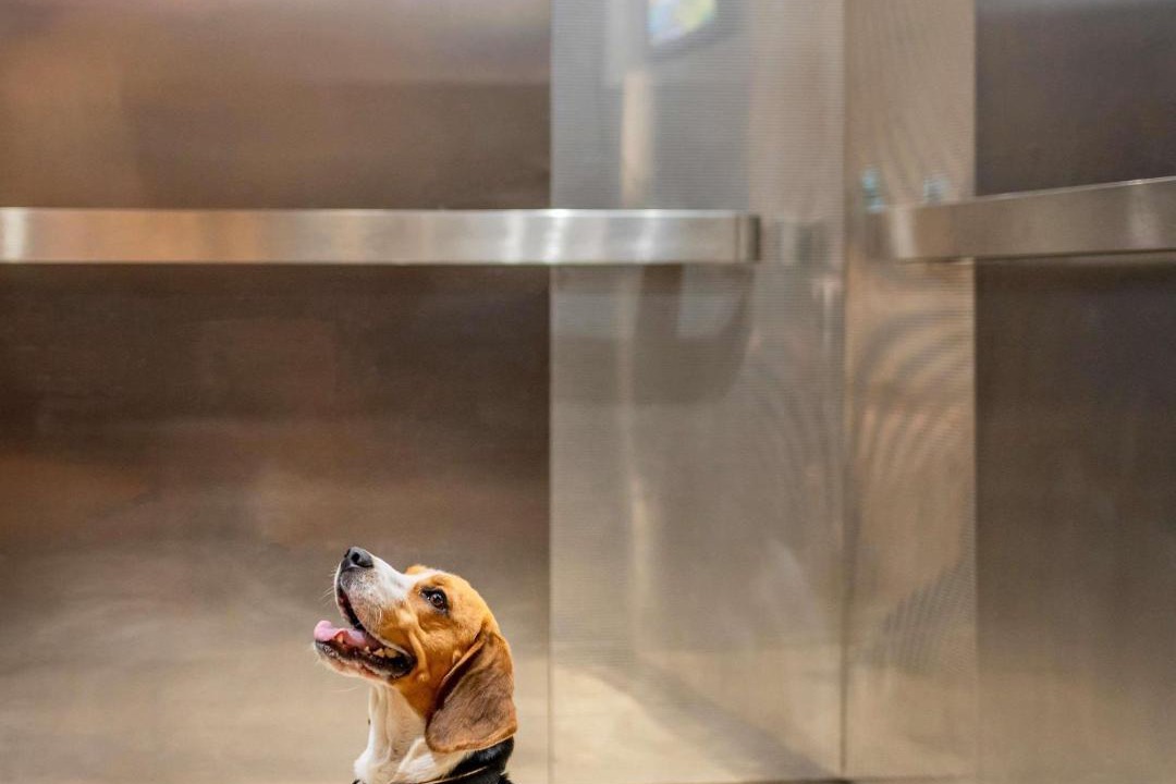 Photo of Others in Saint-Die