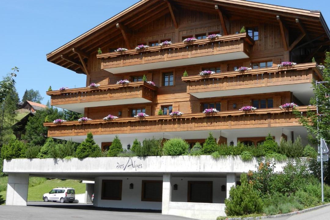 Photo of Others in Saanenmoeser