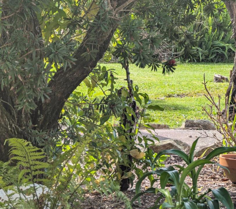 Photo of Others in Mangonui