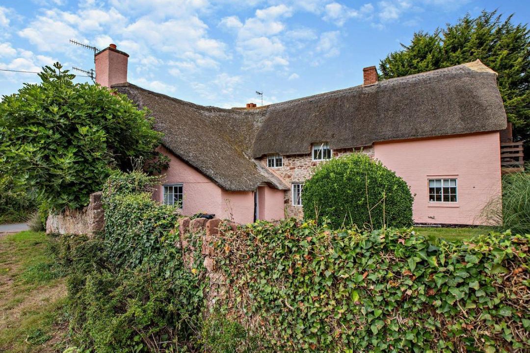 Photo of Others in Fiddington