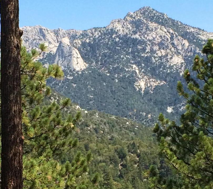 Photo of Others in Pine Cove