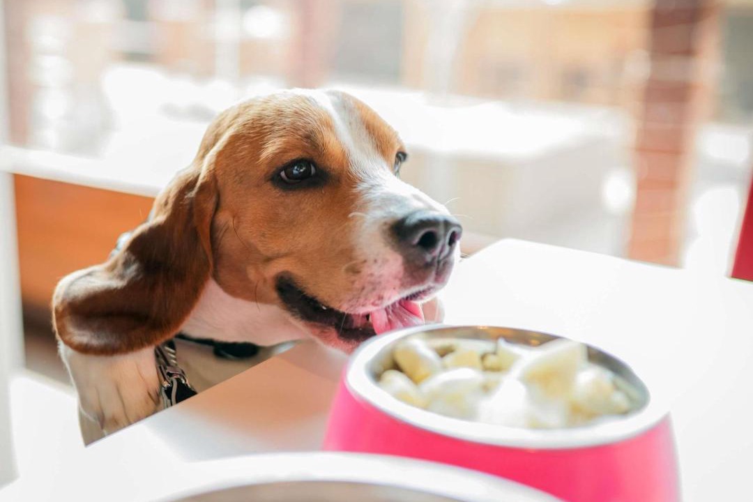 Photo of Others in Epinal