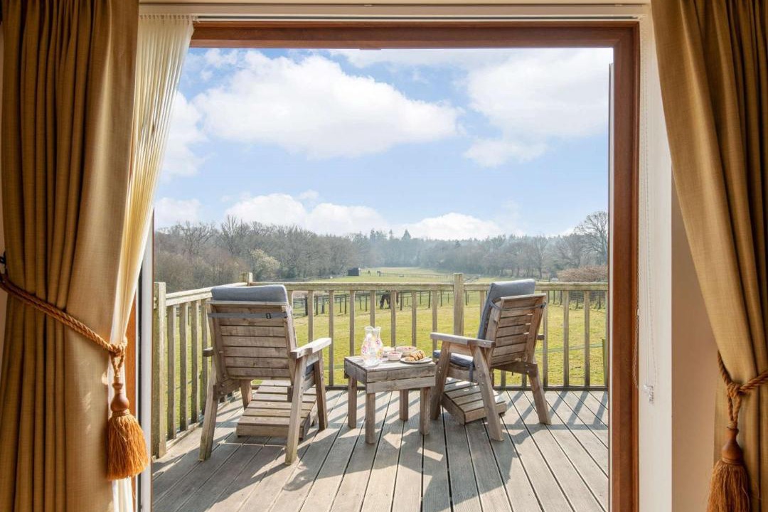 Photo of Others in New Forest District