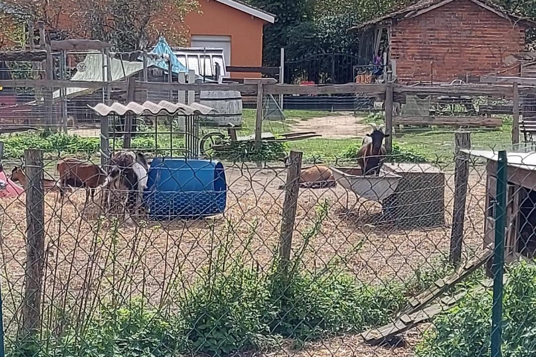 Photo of Others in Castelnau-d'Auzan