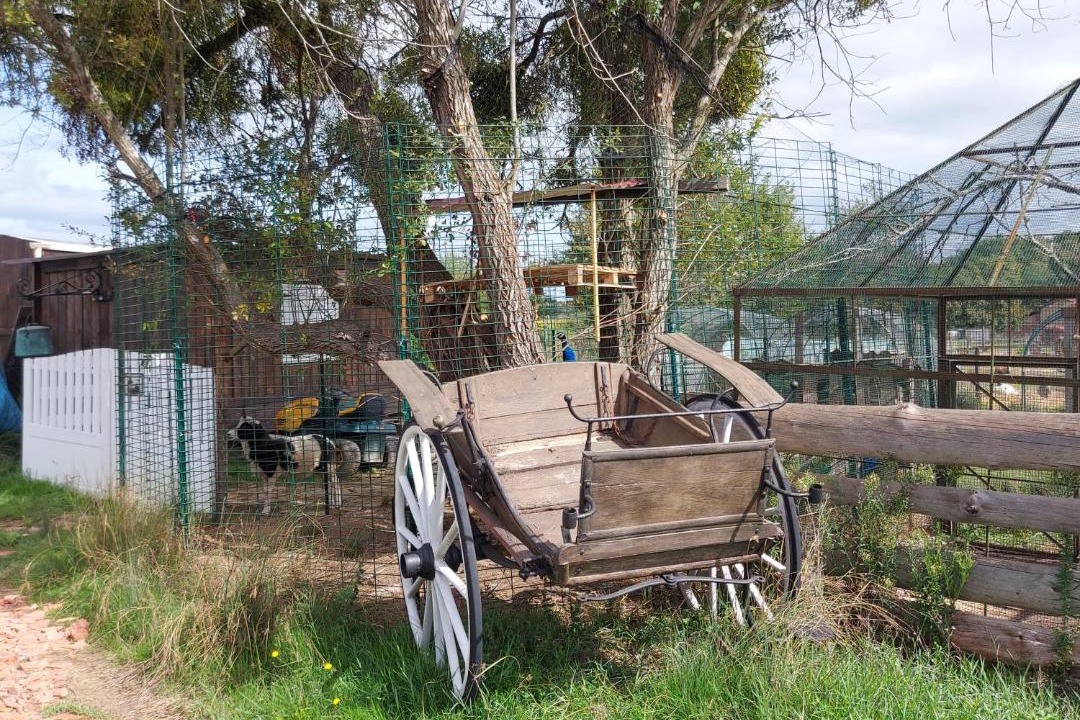 Photo of Others in Castelnau-d'Auzan