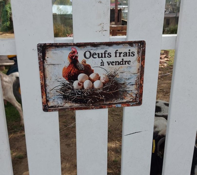 Photo of Others in Castelnau-d'Auzan