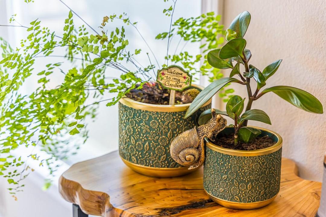 Photo of Others in Forks