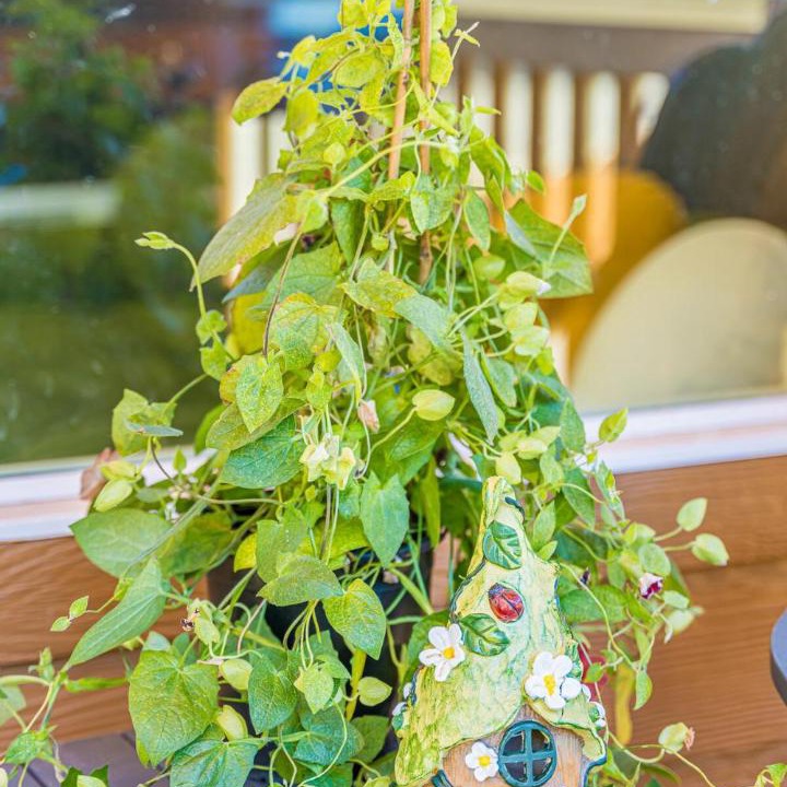 Photo of Patio Balcony in Forks