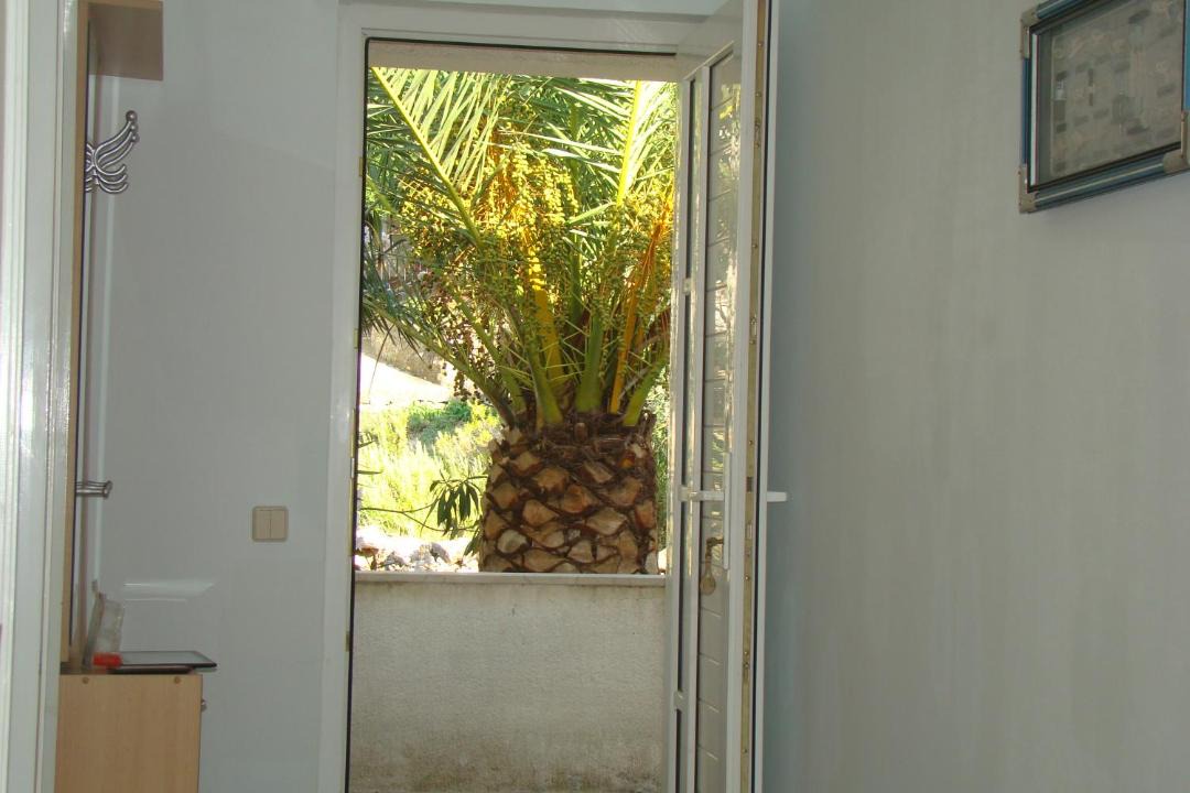 Photo of Others in Island Hvar