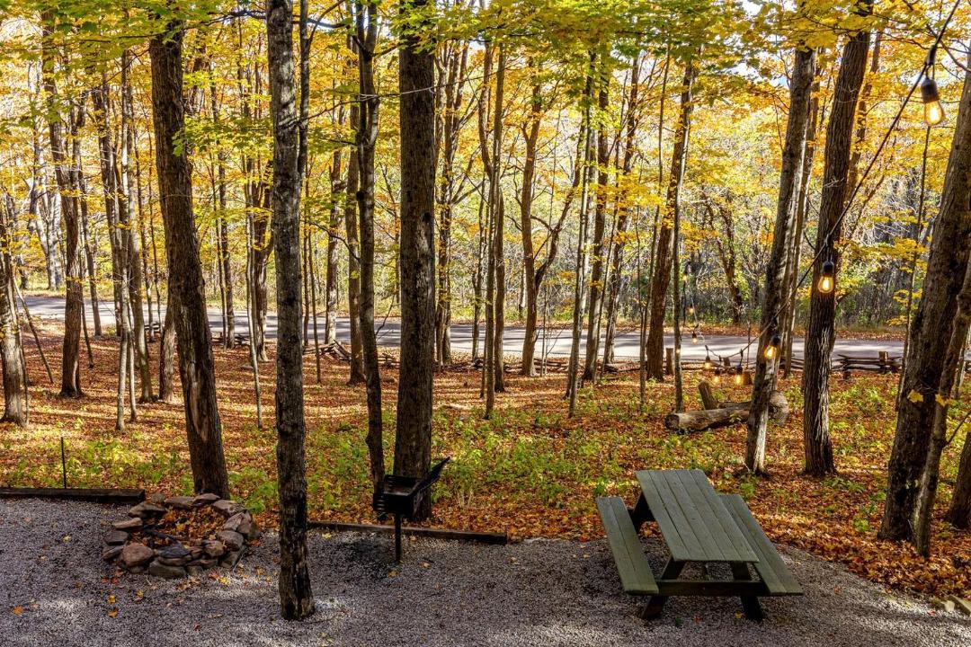 Photo of Others in Allegheny Mountains