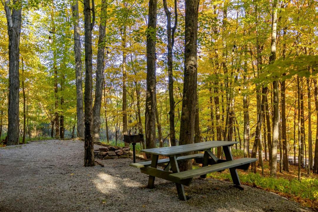 Photo of Others in Allegheny Mountains