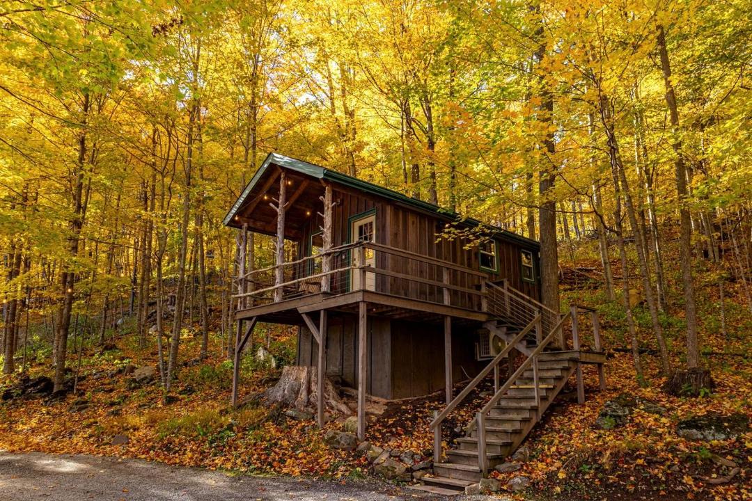Photo of Others in Allegheny Mountains