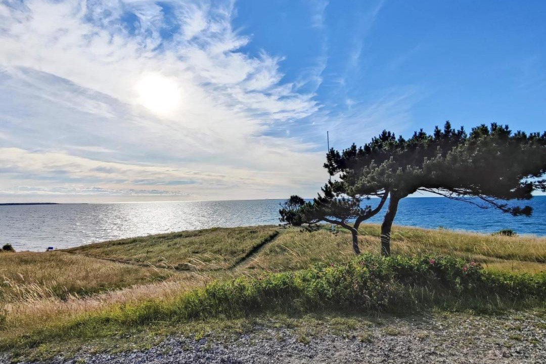 Photo of Others in Hundested