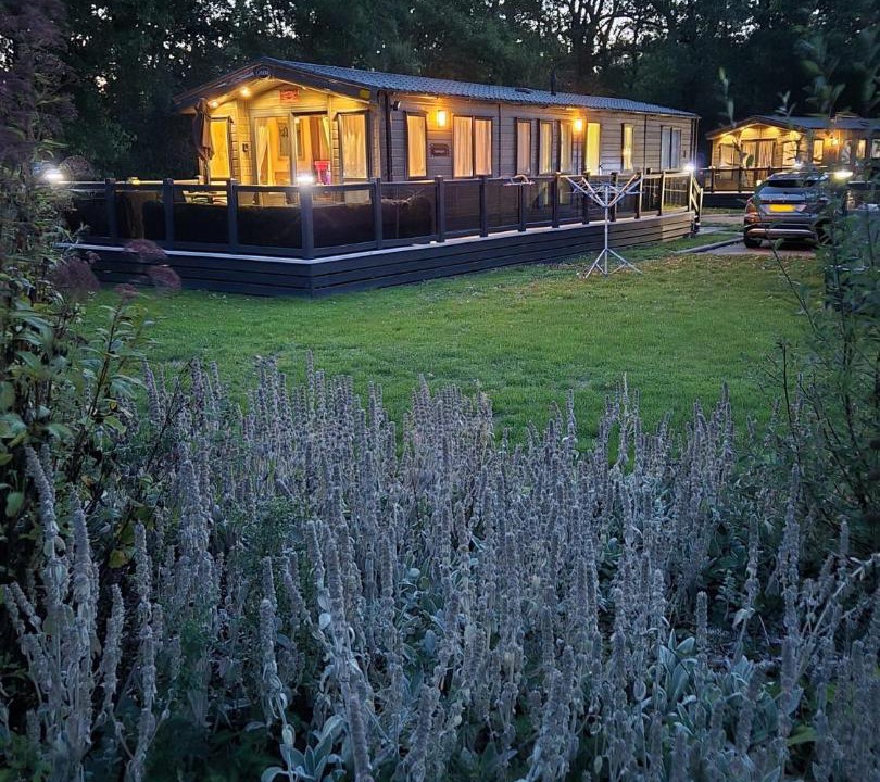 Photo of Others in Tiptoe