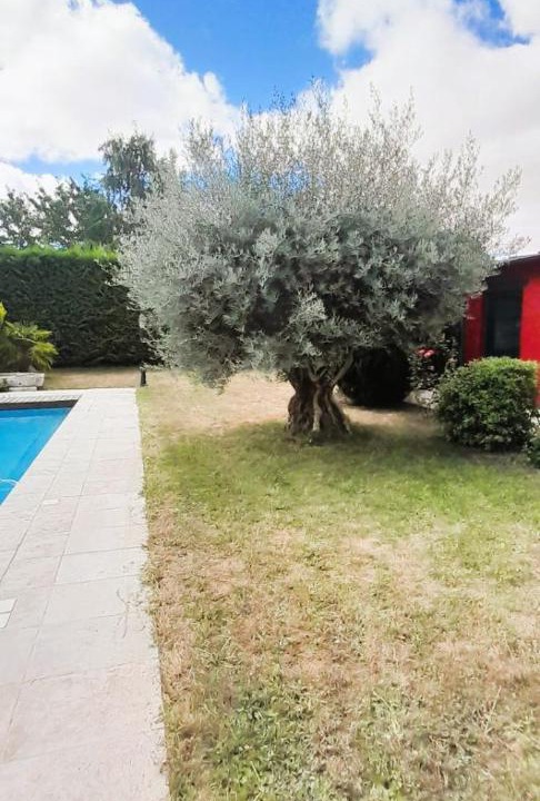 Photo of Others in Levroux