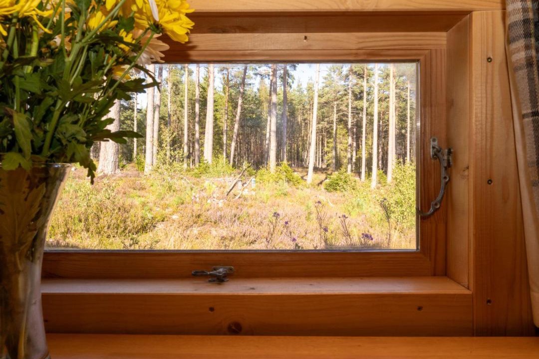 Photo of Others in Logie Coldstone