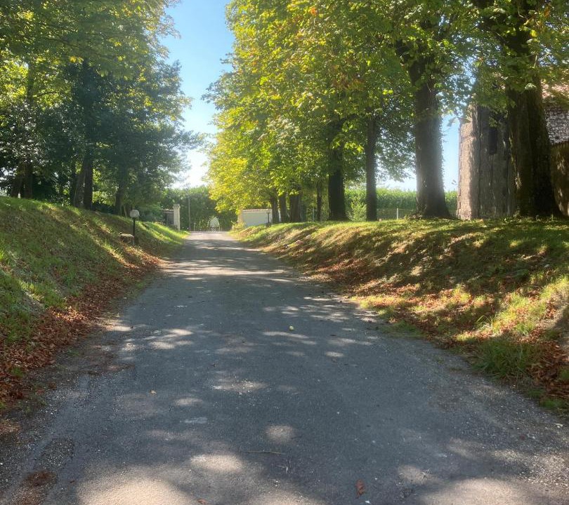 Photo of Others in Segonzac