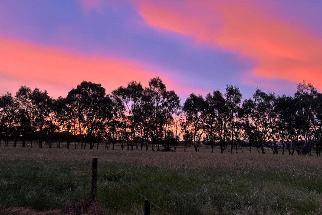 Photo of Others in Wooragee