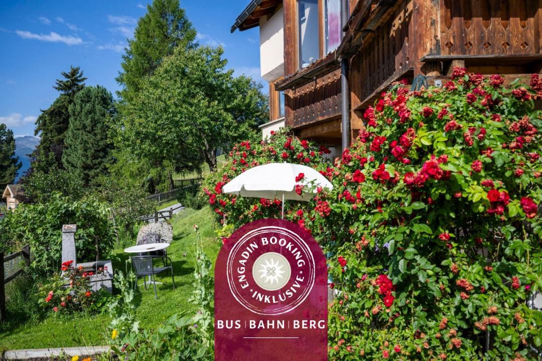 Photo of Others in Engadin Scoul