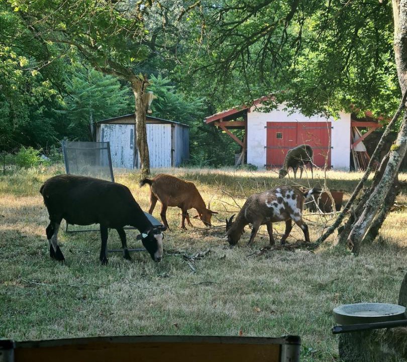 Photo of Others in Brocas