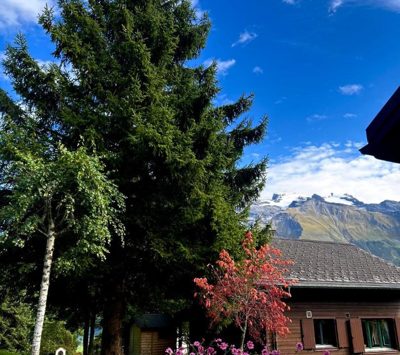 Photo of Others in Engelberg
