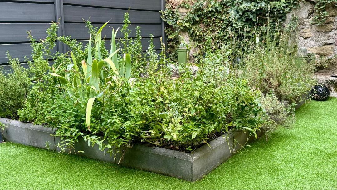 Photo of Others in Saint-Genest-Lerpt