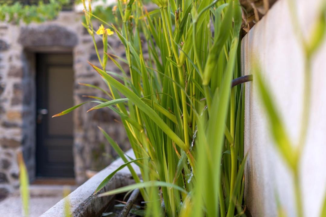 Photo of Others in Saint-Pons