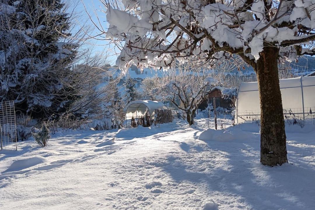 Photo of Others in Combloux