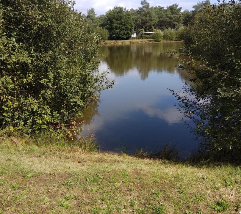 Photo of Others in La Boissiere-de-Montaigu