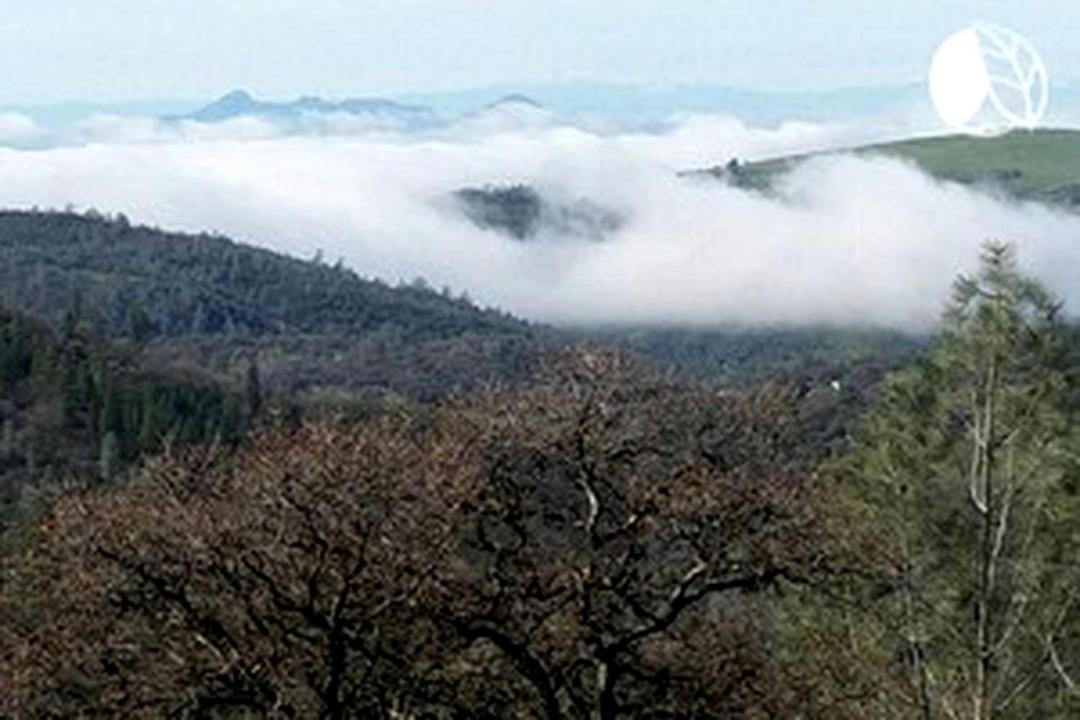 Photo of Others in Penn Valley