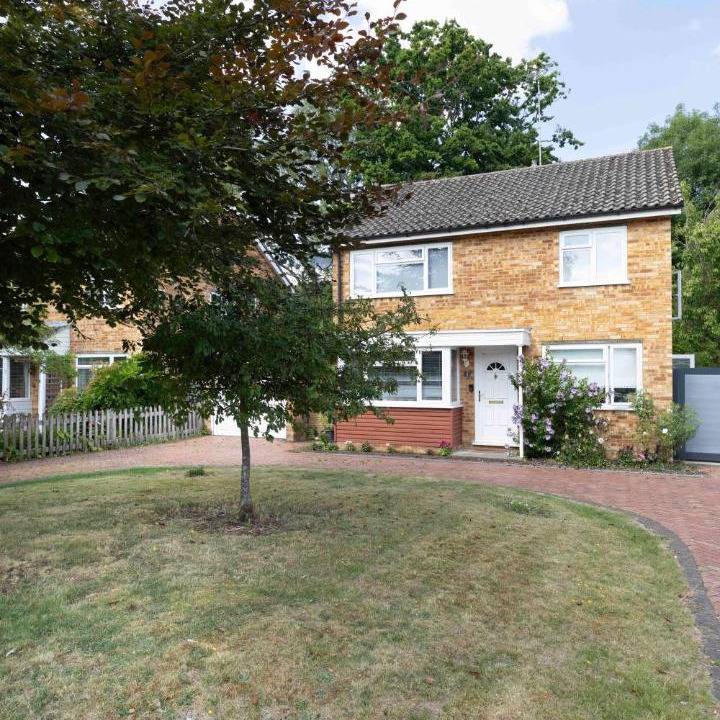 Photo of Others in Lindfield